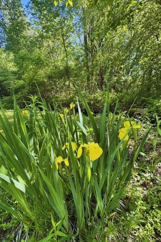 60 Lyman Drive, Williston, VT 05495