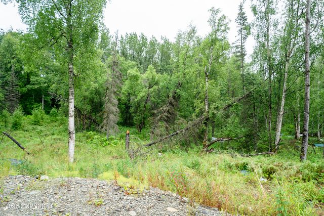 13435 E Cayuga Avenue, Palmer, AK 99645