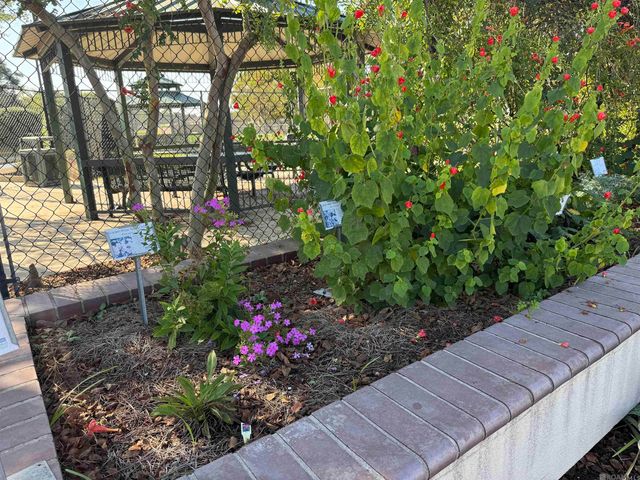 515 S Iberville Ave, Gonzales, LA 70737