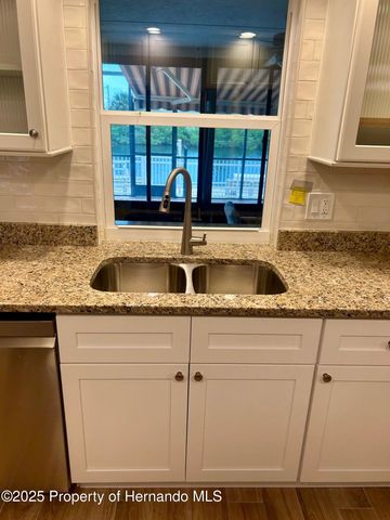 4385 7th Isle Drive, Hernando Beach, FL 34607