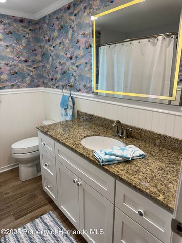 4385 7th Isle Drive, Hernando Beach, FL 34607