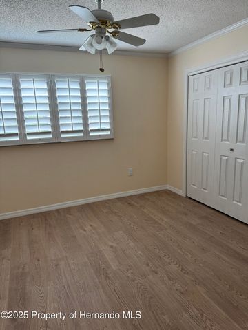 4385 7th Isle Drive, Hernando Beach, FL 34607