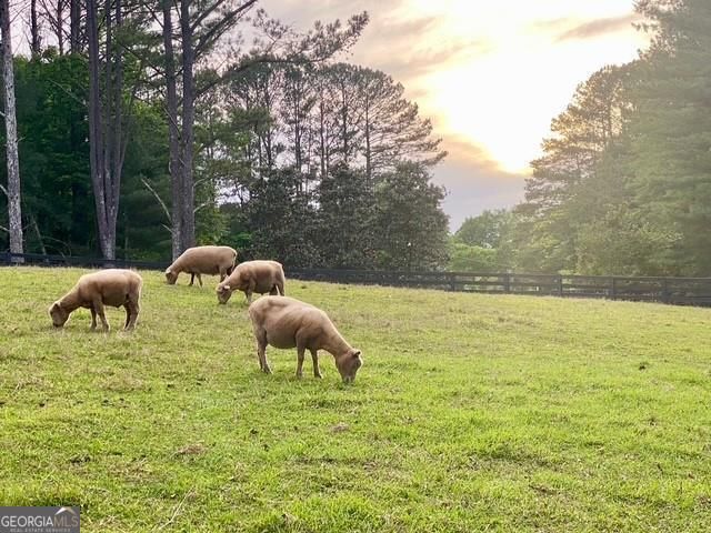 14250 Freemanville Road, Milton, GA 30004