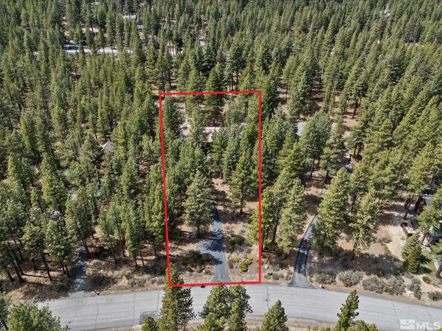 805 Yellow Pine Road, Reno, NV 89511