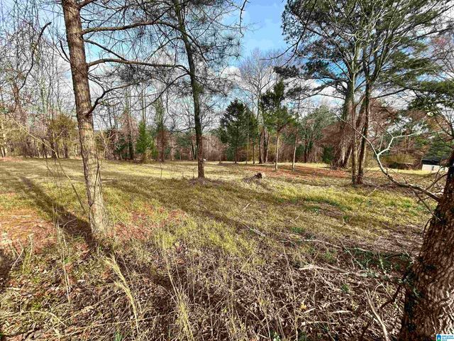 1332 BLACKJACK ROAD, Trussville, AL 35173