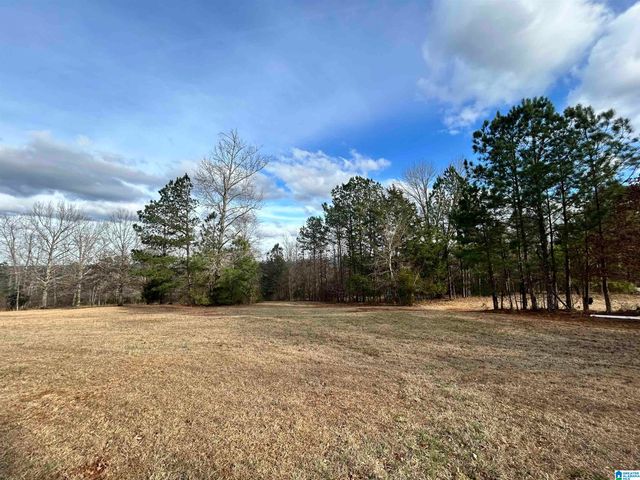 1332 BLACKJACK ROAD, Trussville, AL 35173