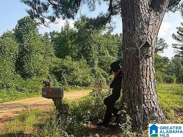 237 MARION STOUGH ROAD, Fayette, AL 35555