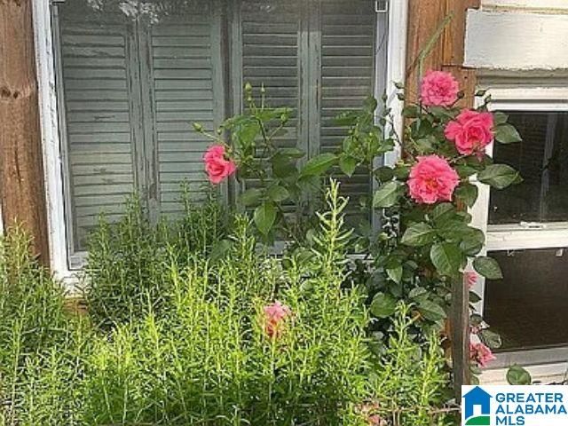 237 MARION STOUGH ROAD, Fayette, AL 35555