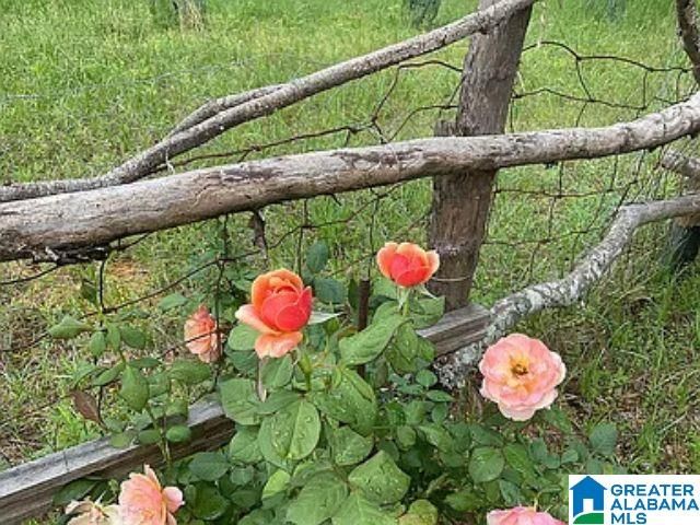 237 MARION STOUGH ROAD, Fayette, AL 35555