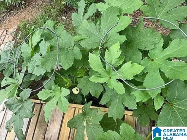 237 MARION STOUGH ROAD, Fayette, AL 35555