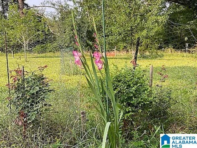 237 MARION STOUGH ROAD, Fayette, AL 35555