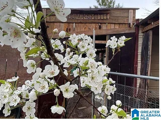 237 MARION STOUGH ROAD, Fayette, AL 35555