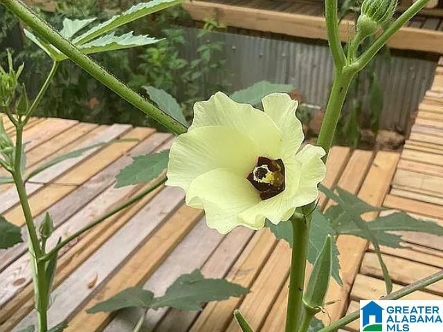 237 MARION STOUGH ROAD, Fayette, AL 35555