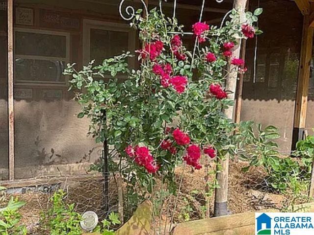 237 MARION STOUGH ROAD, Fayette, AL 35555