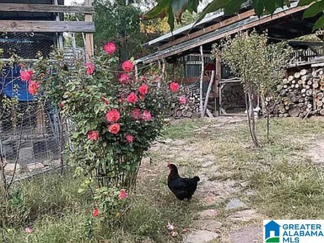 237 MARION STOUGH ROAD, Fayette, AL 35555