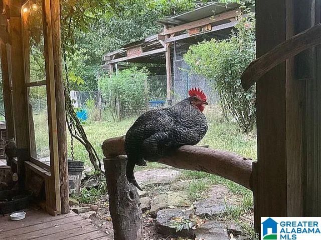 237 MARION STOUGH ROAD, Fayette, AL 35555