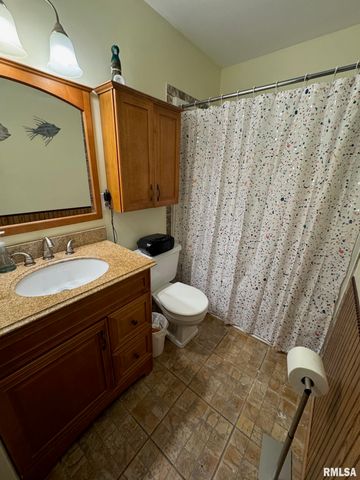 310 30th Avenue Ct Apt 4, Moline, IL 61265