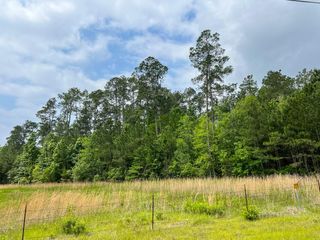 0 Elise Gore Lane, Silsbee, TX 77656
