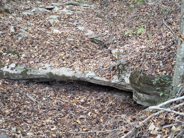 9436 Highway 100, Nashville, TN 37221