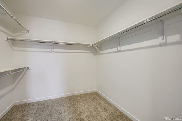 4316 Shirley Drive, Johnstown, CO 80534