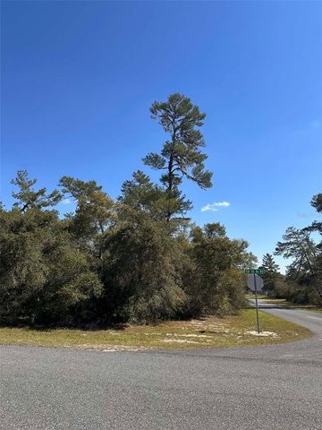 0 SW 36TH AVE. RD, Ocala, FL 34473