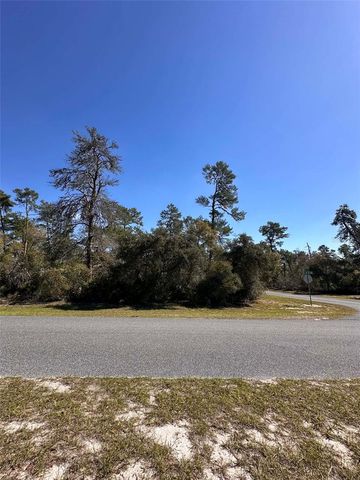 0 SW 36TH AVE. RD, Ocala, FL 34473