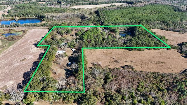 1981 Parrish Rd Road, Florala, AL 36442