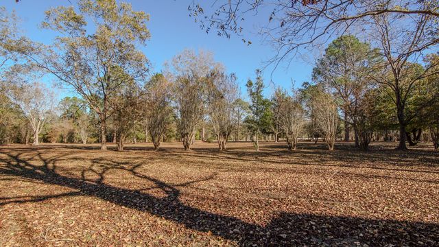 1981 Parrish Rd Road, Florala, AL 36442