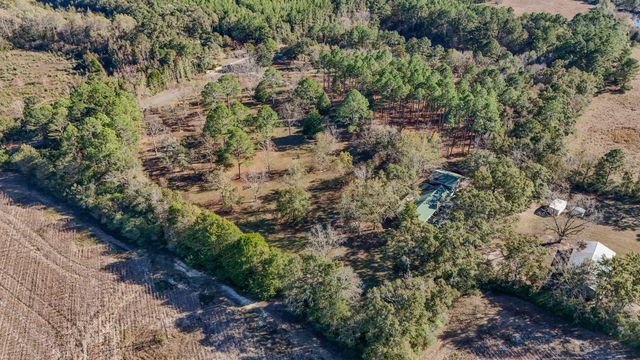 1981 Parrish Rd Road, Florala, AL 36442