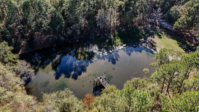 1981 Parrish Rd Road, Florala, AL 36442