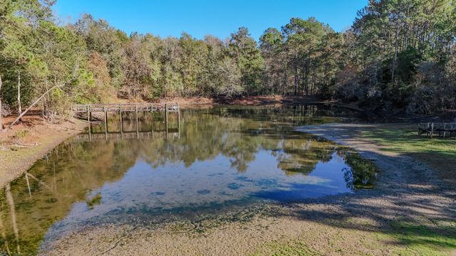 1981 Parrish Rd Road, Florala, AL 36442