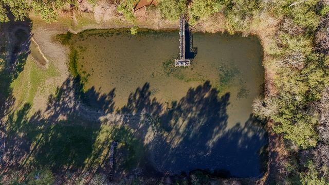 1981 Parrish Rd Road, Florala, AL 36442