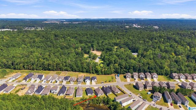 346 SHILOH CREEK DRIVE, Calera, AL 35040