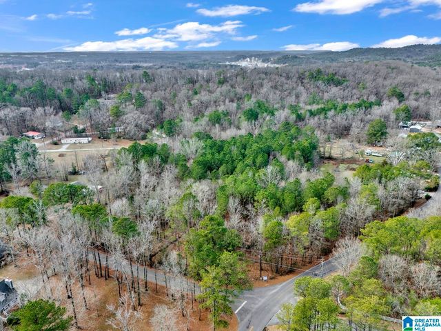 1383 CAMP BRANCH ROAD, Alabaster, AL 35007