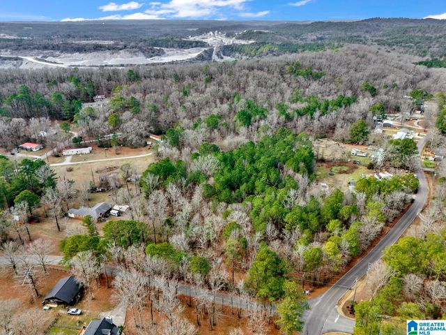 1383 CAMP BRANCH ROAD, Alabaster, AL 35007