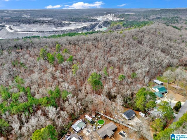 1383 CAMP BRANCH ROAD, Alabaster, AL 35007