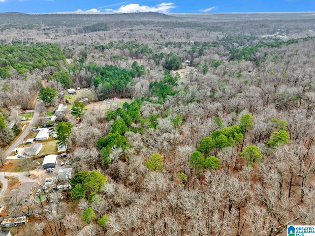 1383 CAMP BRANCH ROAD, Alabaster, AL 35007