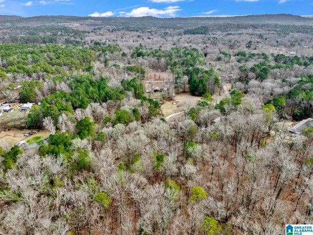 1383 CAMP BRANCH ROAD, Alabaster, AL 35007