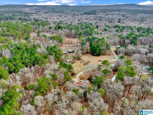 1383 CAMP BRANCH ROAD, Alabaster, AL 35007