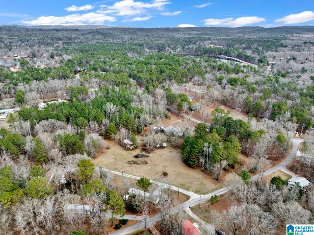 1383 CAMP BRANCH ROAD, Alabaster, AL 35007