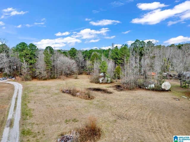 1383 CAMP BRANCH ROAD, Alabaster, AL 35007