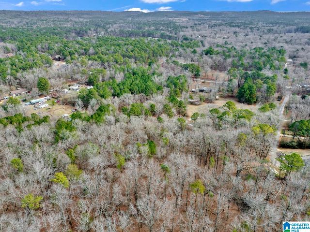 1383 CAMP BRANCH ROAD, Alabaster, AL 35007