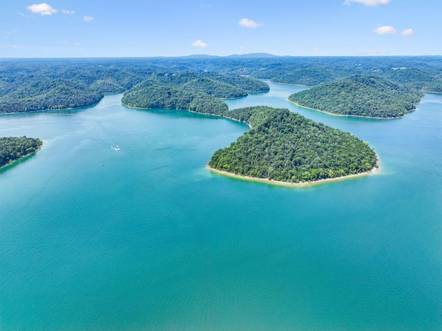 47 Harbor Court, Silver Point, TN 38582