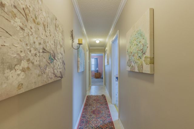 234 Eagle View Drive, Ringgold, GA 30736