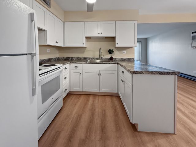 2025 Maple Road 1E, Homewood, IL 60430