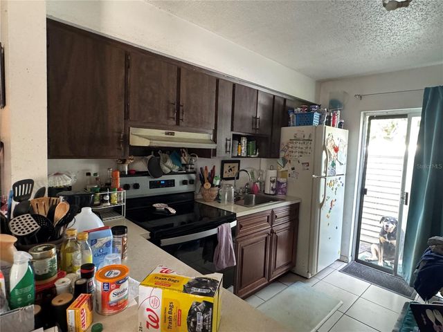 207 E BUCHANON AVENUE, Orlando, FL 32809