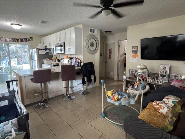 207 E BUCHANON AVENUE, Orlando, FL 32809