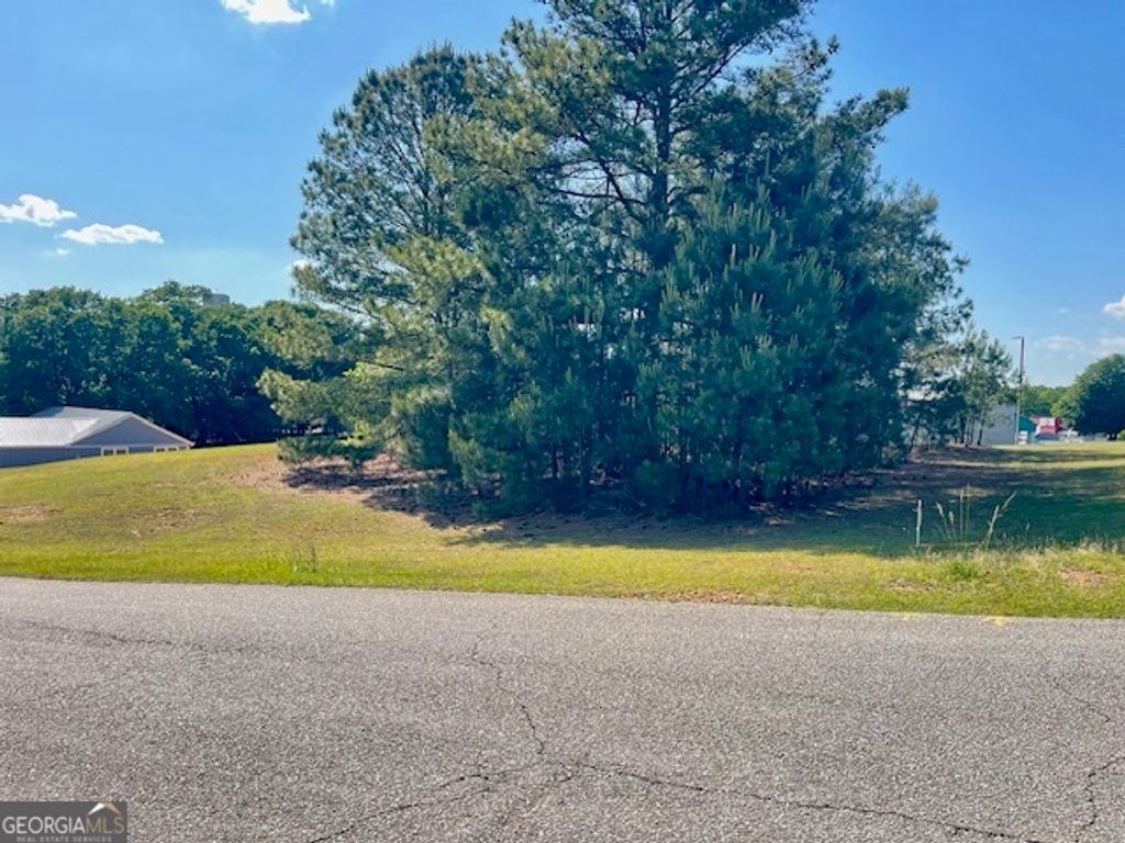 317 Smith Street, Royston, GA 30662 — photo 2