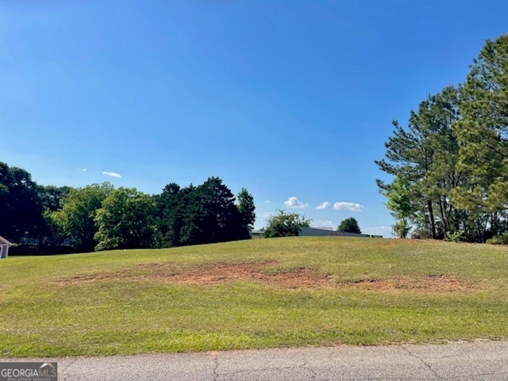 317 Smith Street, Royston, GA 30662 — photo 3