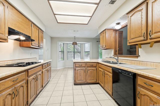 8411 ROCKY PATH ST, San Antonio, TX 78254